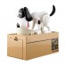 Dog Piggy Bank